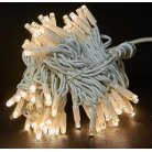 Светодиодная гирлянда уличная (10m-1 white)