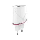 Сетевое зарядное устройство Ezra HC-19